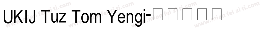 UKIJ Tuz Tom Yengi字体转换